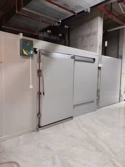 10X10X8FT cuarto frío paseo en congelador refrigerador puerta con bisagras para carne de pollo